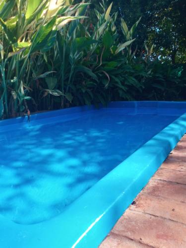 una piscina con agua azul y plantas en casa-quinta en General Rodríguez