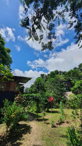 Un jardín fuera de Amazona Lodge