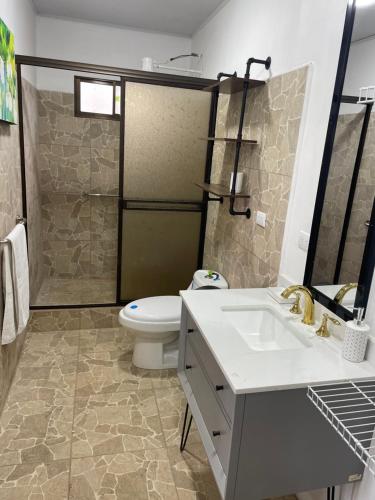 ein Bad mit einem WC, einem Waschbecken und einer Dusche in der Unterkunft Cabaña mirador Jacuzzi 
