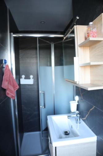 une salle de bain avec douche et lavabo dans l'établissement Charmant studio en centre-ville, à Mulhouse