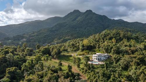 an aerial view of a house in the middle of a mountain at WALD HAUS by DW in Naguabo