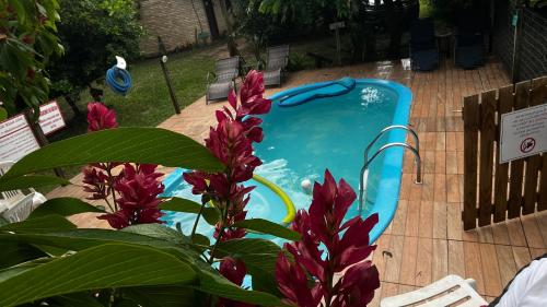 een zwembad in een tuin met rode bloemen bij Sol sal cabana p 10 in Imbituba