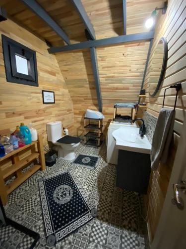 een badkamer met een wastafel en een toilet bij bungalow in Sinop