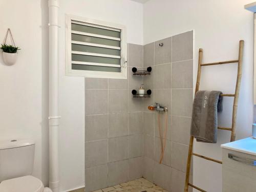 baño con ducha, aseo y ventana en Logement Charme vanillé - Gosier - 2 chambres - Piscine - Wifi - Parking, en Le Gosier