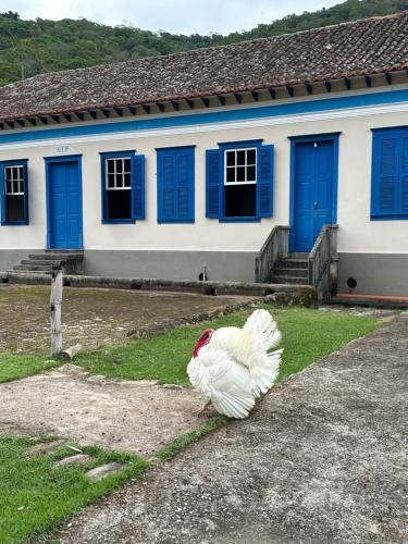 a white chicken standing in front of a building at Fazenda Penedo in Duas Barras