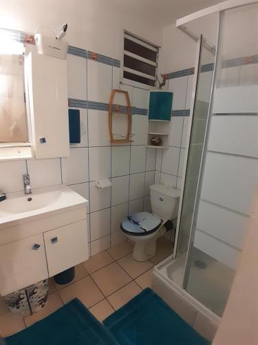 een badkamer met een toilet, een wastafel en een douche bij KAY MIT et KAY JACKO in Sainte-Luce