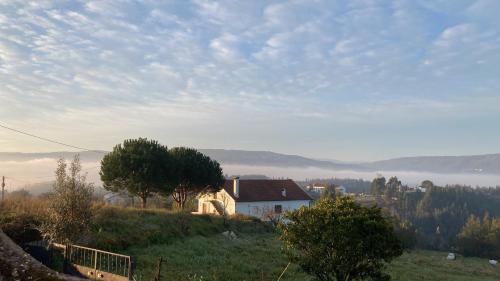 a house on a hill in a field at A Casa Amarela Guest room in São Martinho da Cortiça
