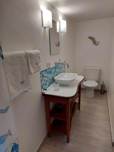 La salle de bains est pourvue d'un lavabo et de toilettes. dans l'établissement Espaço acolhedor com transporte público de fácil acesso, à São Paulo