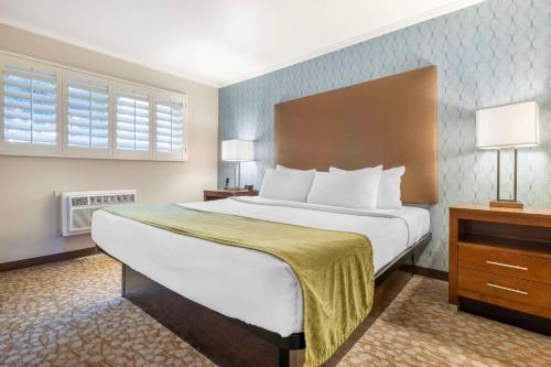 Habitación de hotel con 1 cama grande y 2 lámparas en Best Western Plus Beach View Lodge, en Carlsbad
