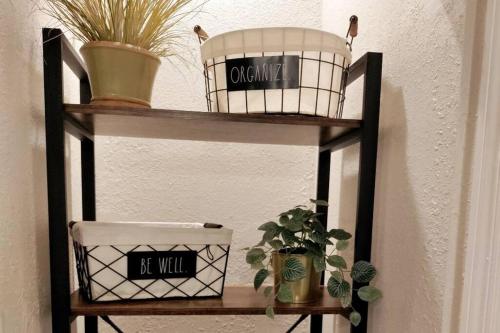 a shelf with potted plants and pots on it at House Close to Downtown, Airport, Raymond James Stadium, and Many More Places in Tampa