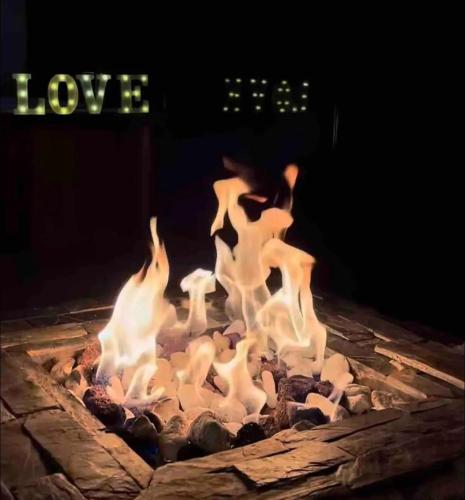 a fire pit with a group of animals in it at Montecielo Hosting in Guatapé