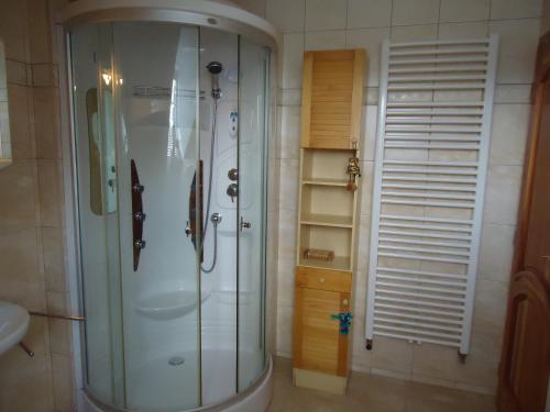 eine Glasdusche im Bad mit Waschbecken in der Unterkunft Apartment Duhová in Franzensbad