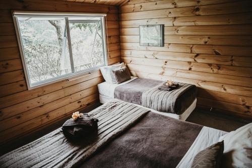 two beds in a log cabin with a window at Tatahi Cove Back Packer in Hahei