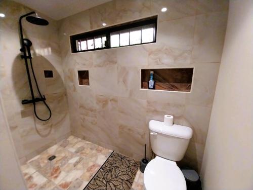 a bathroom with a toilet and a shower with a window at TAHITI - Vetea POOL Fare in Pirae