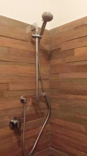 a shower in a bathroom with a wooden wall at Tigullio Vacations in Leivi