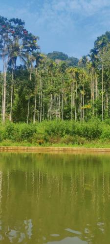 Gallery image of Edakkal Cottages N Dormitory in Ambalavayal