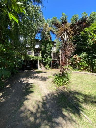 a house with a palm tree in the yard at Departamento 2 ambientes con gran jardin y mucho verde en la Ribera in San Isidro