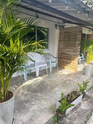 a patio with white chairs and plants in a building at Jolie’s Place in Ko Lanta