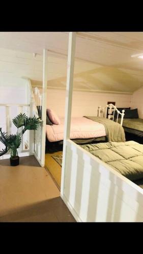 a bedroom with two beds and a potted plant at Cozy country cabin - church conversion in Gellibrand
