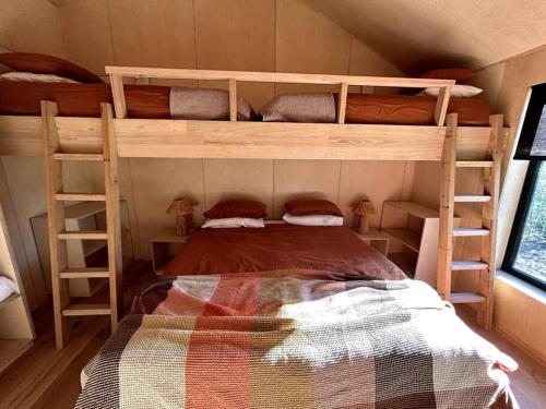 1 Schlafzimmer mit 2 Etagenbetten in einem Haus in der Unterkunft Gardeners Shed -Mansfield in Mansfield
