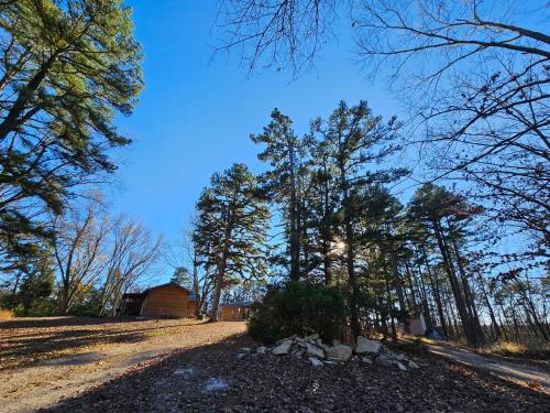 a house in the middle of a field with trees at 5 Min To Beaver Lake, King Bed, Fire Pit, Jetted Tub #2 in Eureka Springs