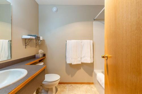 a bathroom with a sink and a toilet and a mirror at Waterton Country Villas in Waterton Park