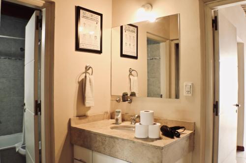 ein Bad mit einem Waschbecken und einem Spiegel in der Unterkunft "Tu refugio espacioso en el corazón de MENDOZA y el PARQUE" in Mendoza