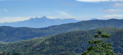Un paisaje natural cerca de la villa