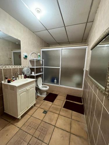 a bathroom with a shower and a toilet and a sink at Rancho de monica in El Majahual