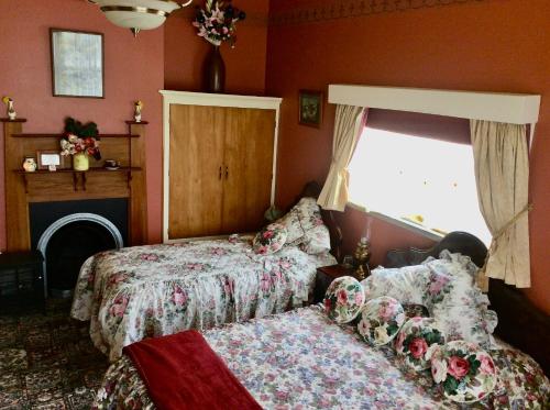 a bedroom with two beds and a window at Catlins Retreat B & B in Owaka