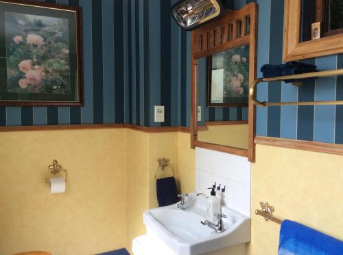 a bathroom with a sink and a mirror at Catlins Retreat B & B in Owaka