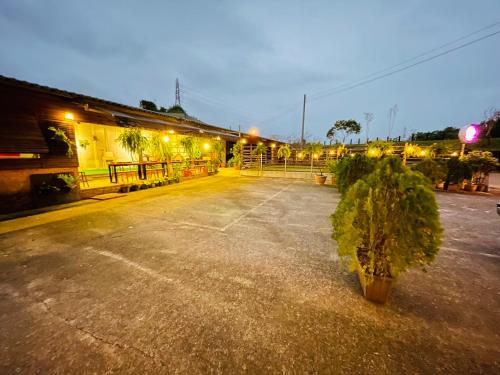 an empty parking lot with a tree in the middle at Follow Me designed B&B in Dongshan