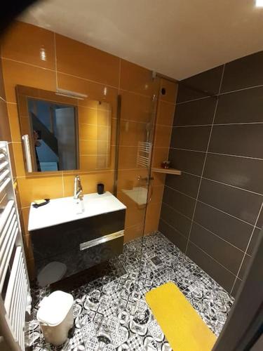 une salle de bain avec un lavabo, des toilettes et un miroir dans l'établissement Maison Cosy, cœur de village, à École