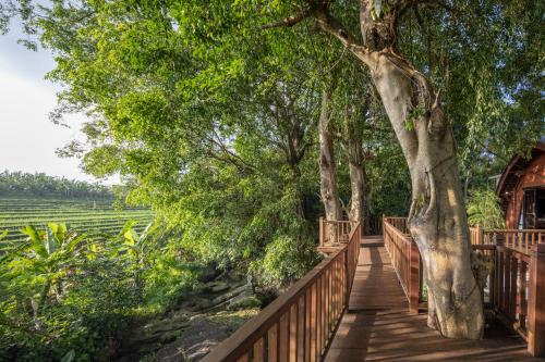 a wooden walkway with a tree and a house at Paripadi Private Villa and Sanctuary in Canggu