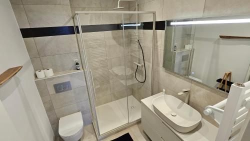 een badkamer met een douche, een toilet en een wastafel bij Le Cosy - joliment aménagé - vue magnifique in Sévrier