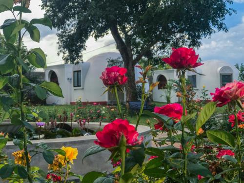 a garden with flowers in front of a building at The Lion Kingdom Sigiriya in Sigiriya