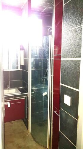 une salle de bain avec douche et lavabo dans l'établissement à 15mn de Paris et Stade de France, appartement 4 pièces, 6 lits, à Montmagny