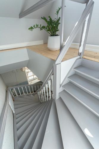 a staircase in a house with a potted plant at Guesthouse Kadrina Mõis in Kadrina