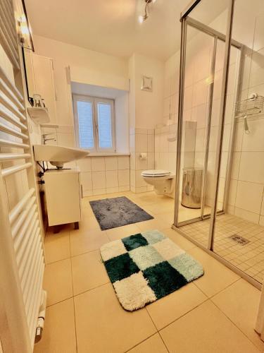 a bathroom with a shower and a sink and a toilet at Obersdorfer Hof in Bad Mitterndorf