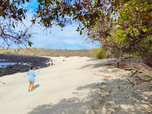 Una mujer con camisa azul caminando por una playa en Cuarto en galápagos, en Puerto Baquerizo Moreno