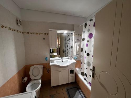 W łazience znajduje się toaleta, umywalka i lustro. w obiekcie Premium Apartment In Chalkida w Chalkidzie