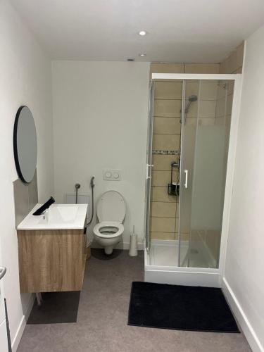 La salle de bains est pourvue de toilettes, d'une douche et d'un lavabo. dans l'établissement Loge zen, à Châteauroux