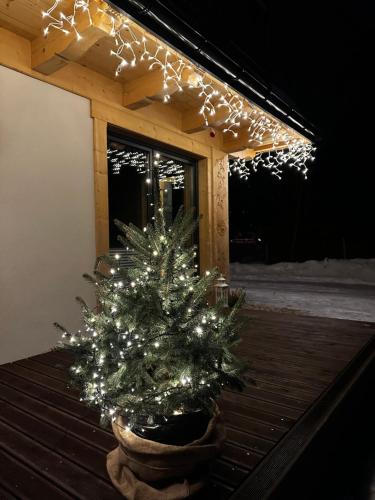 a christmas tree in a pot on a porch with lights at Osada Zbójnicka Turnia in Kościelisko