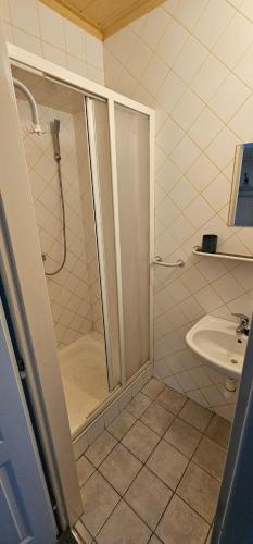 a bathroom with a shower and a sink at Ubytovanie u Vlka in Ľubotice