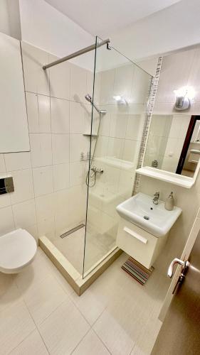 a bathroom with a shower and a toilet and a sink at Bonjour Residence with terrace and parking in Cluj-Napoca