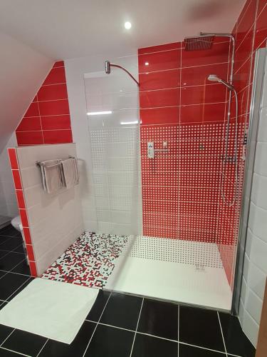 ベルクハイムにあるLa Maison De Roméoの赤いタイル張りのバスルーム(シャワー付)