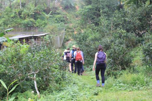 a group of people walking down a trail at Thavill Retreat HaGiang in Ha Giang