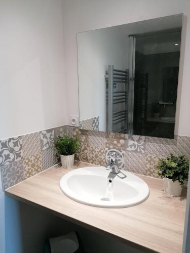 un comptoir de salle de bain avec un lavabo et un miroir dans l'établissement Maison 3 personnes dans village atypique, à Talmont-Saint-Hilaire