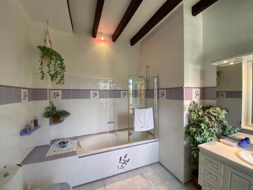 Salerm的住宿－Le Petit Manoir de Campagne，带淋浴、浴缸和盥洗盆的浴室