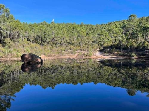 a view of a lake with trees in the background at Villa Ormarine, vue exceptionnelle sur la baie de Cannes et le Mercantour in Les Adrets de l'Esterel